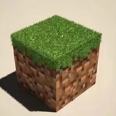 𝓜𝓲𝓷𝓮𝓬𝓻𝓪𝓯𝓽无名