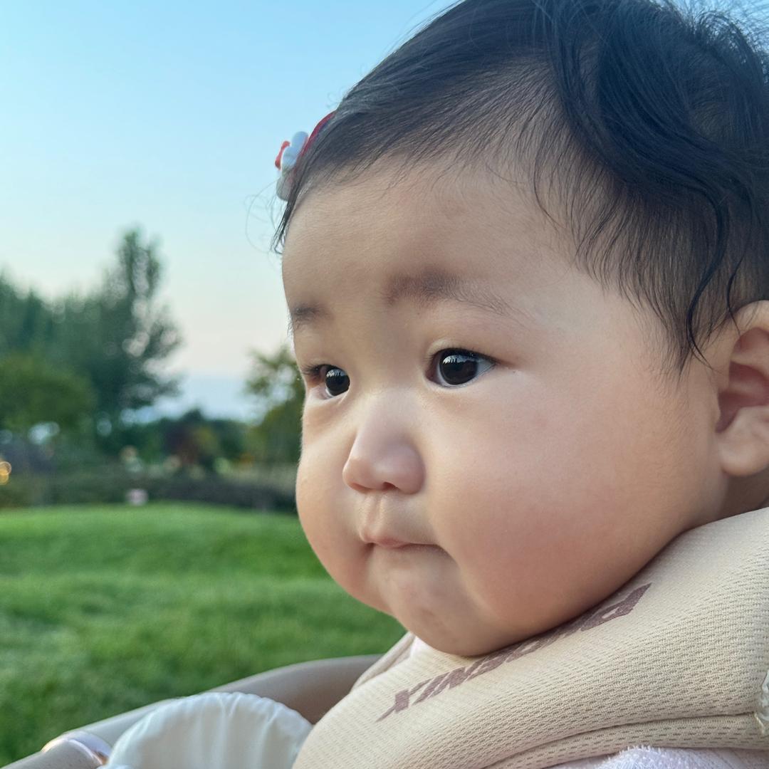一只尧🍓