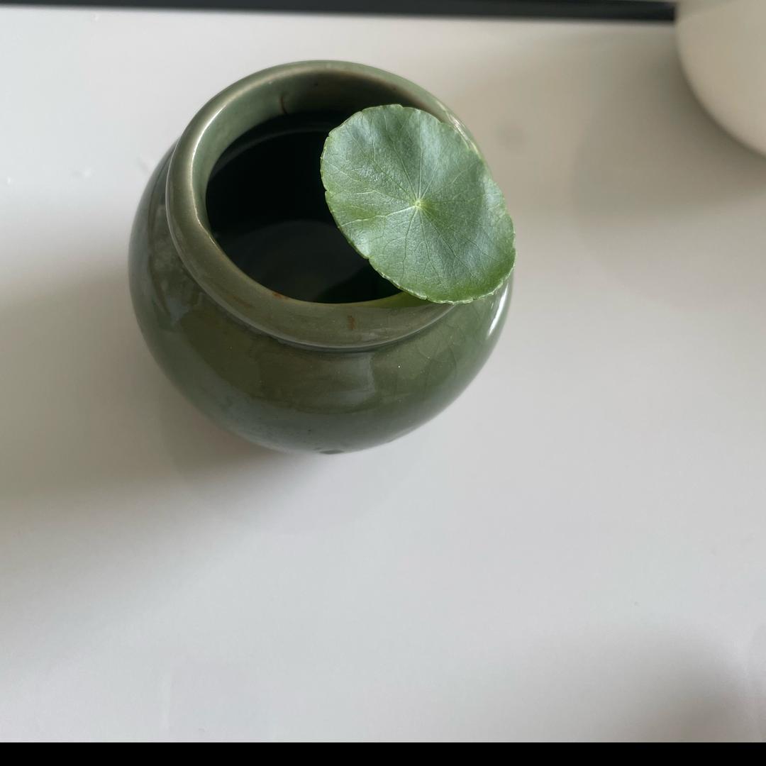 柔夫人产康何老师中俊店