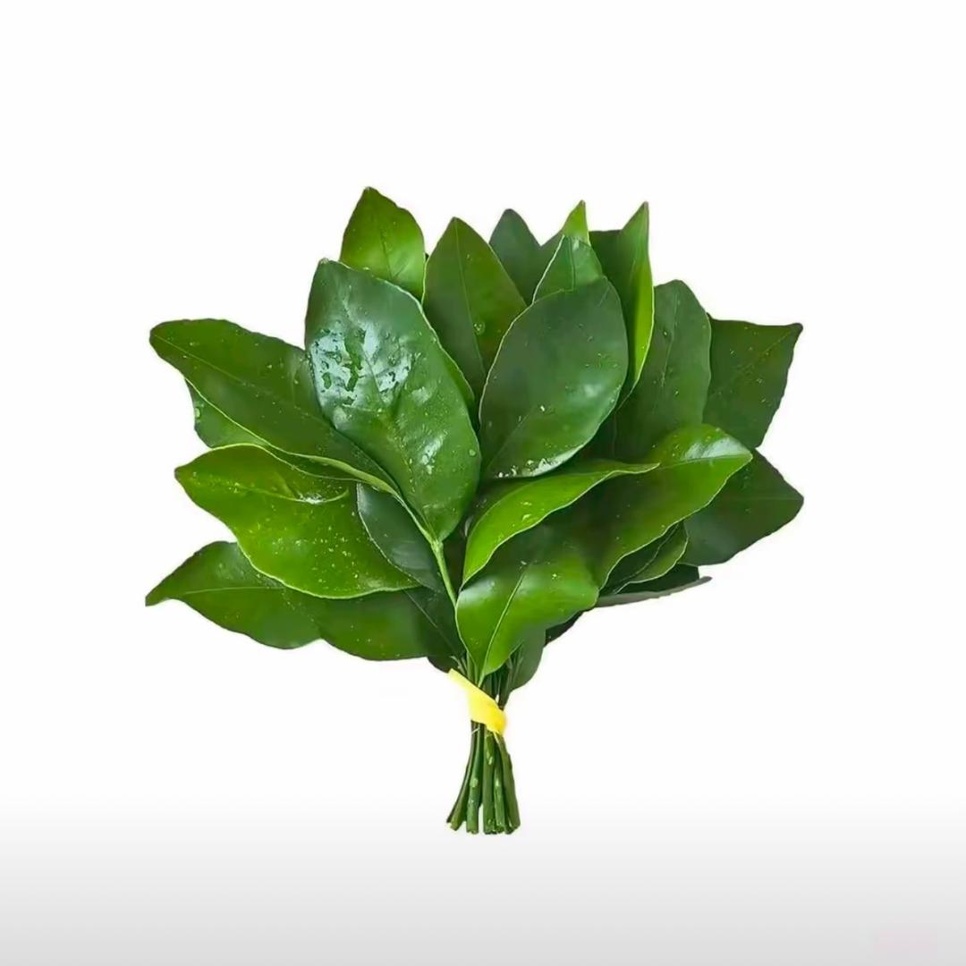念.