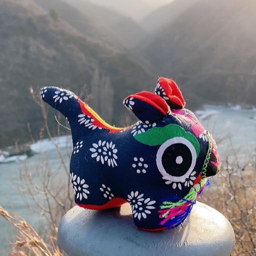 夏槐路的朋友们