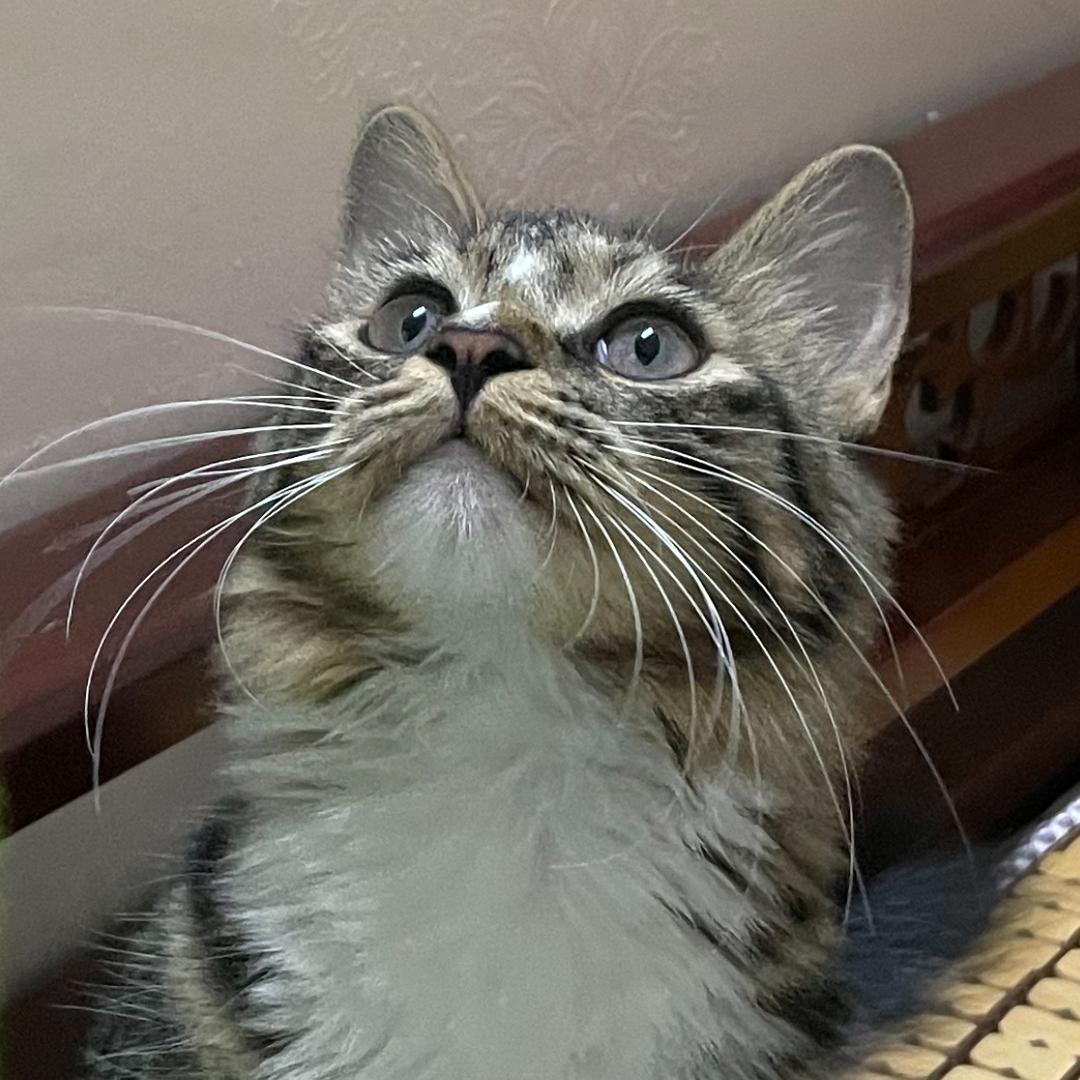 一个还不错的力量周