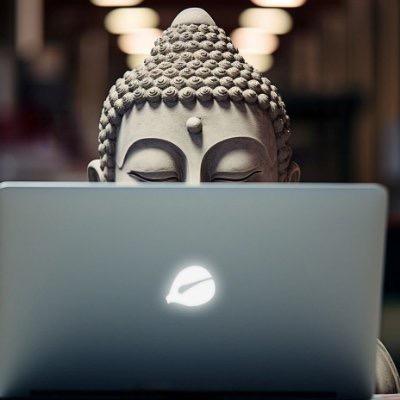 村上砍树🪵