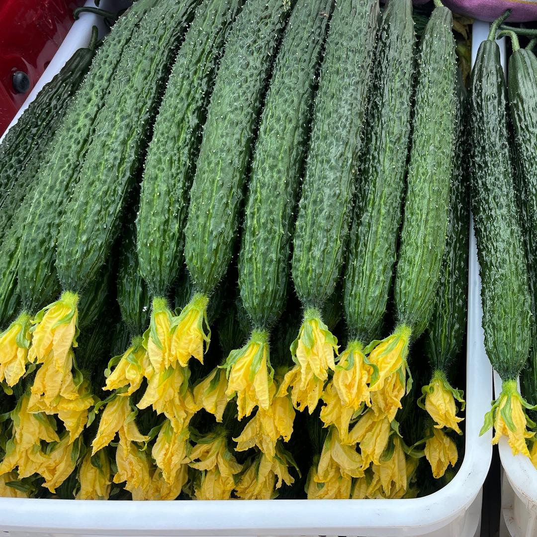 新绛南张精品黄瓜，西红柿蔬菜购销