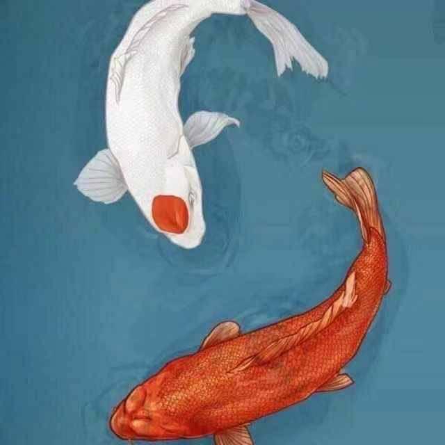 是我是我就是我头像