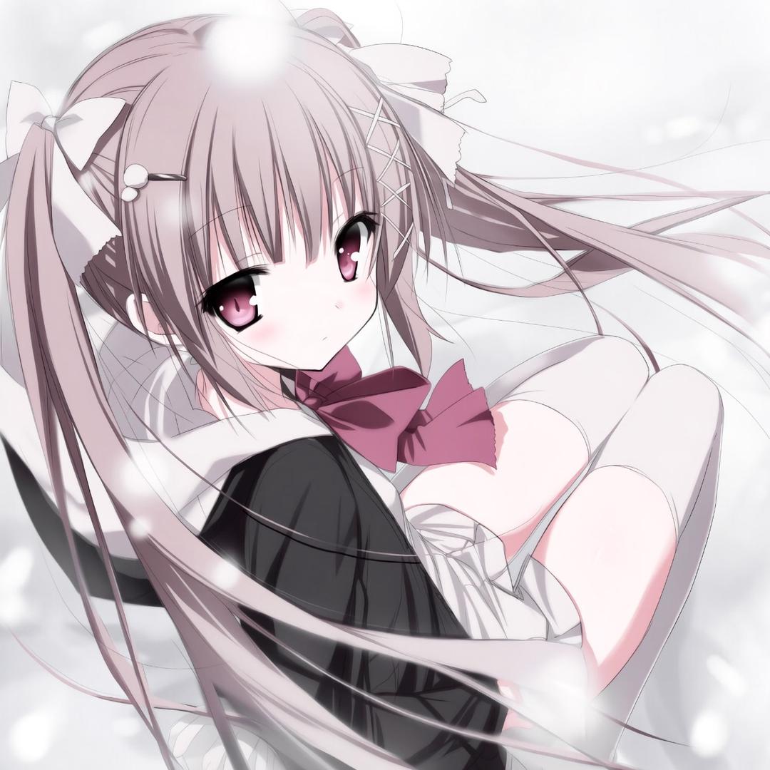 宅猫控