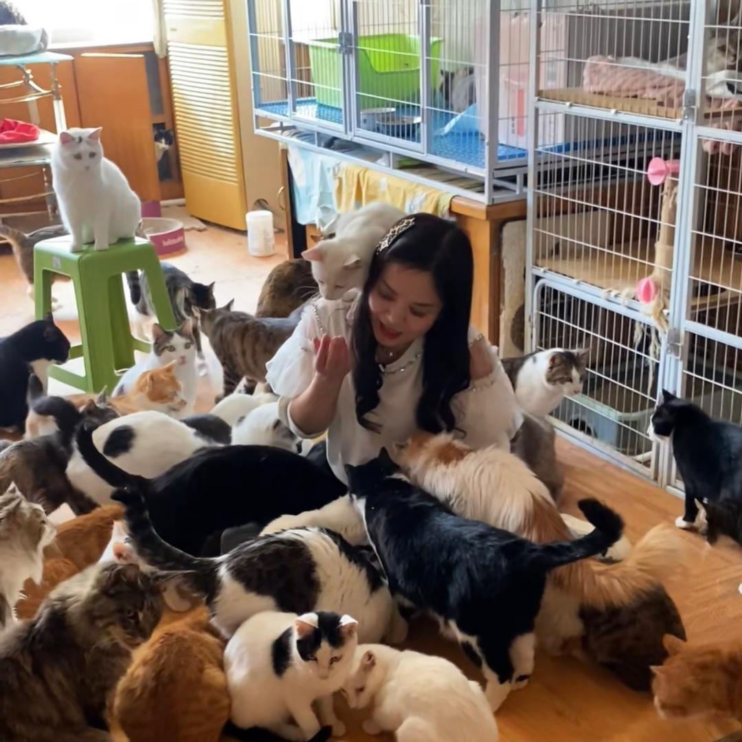 110只猫和我