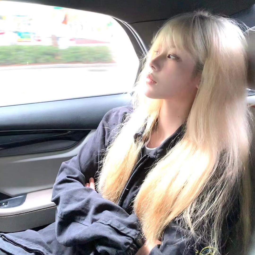 笨笨羊🐑t