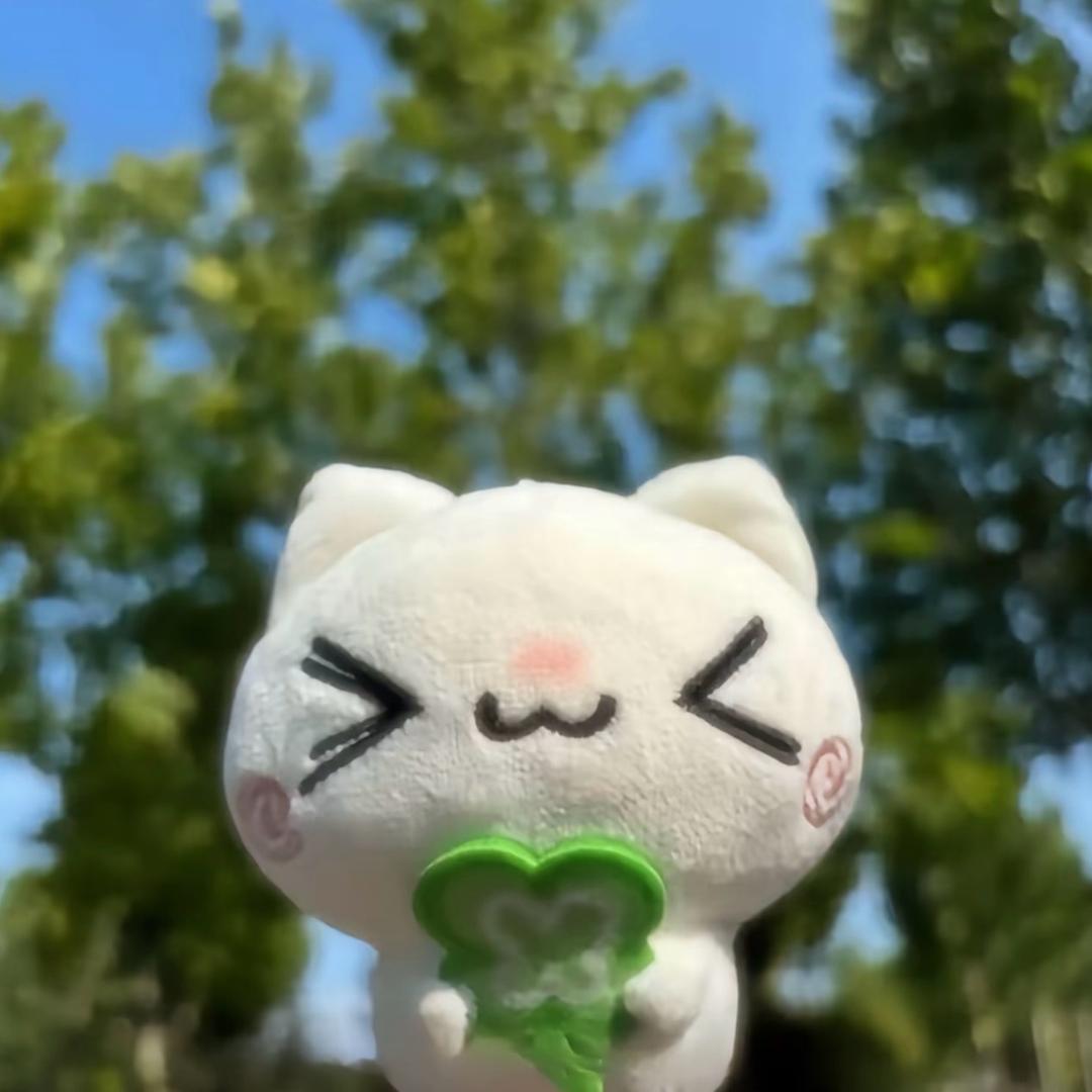 圆元