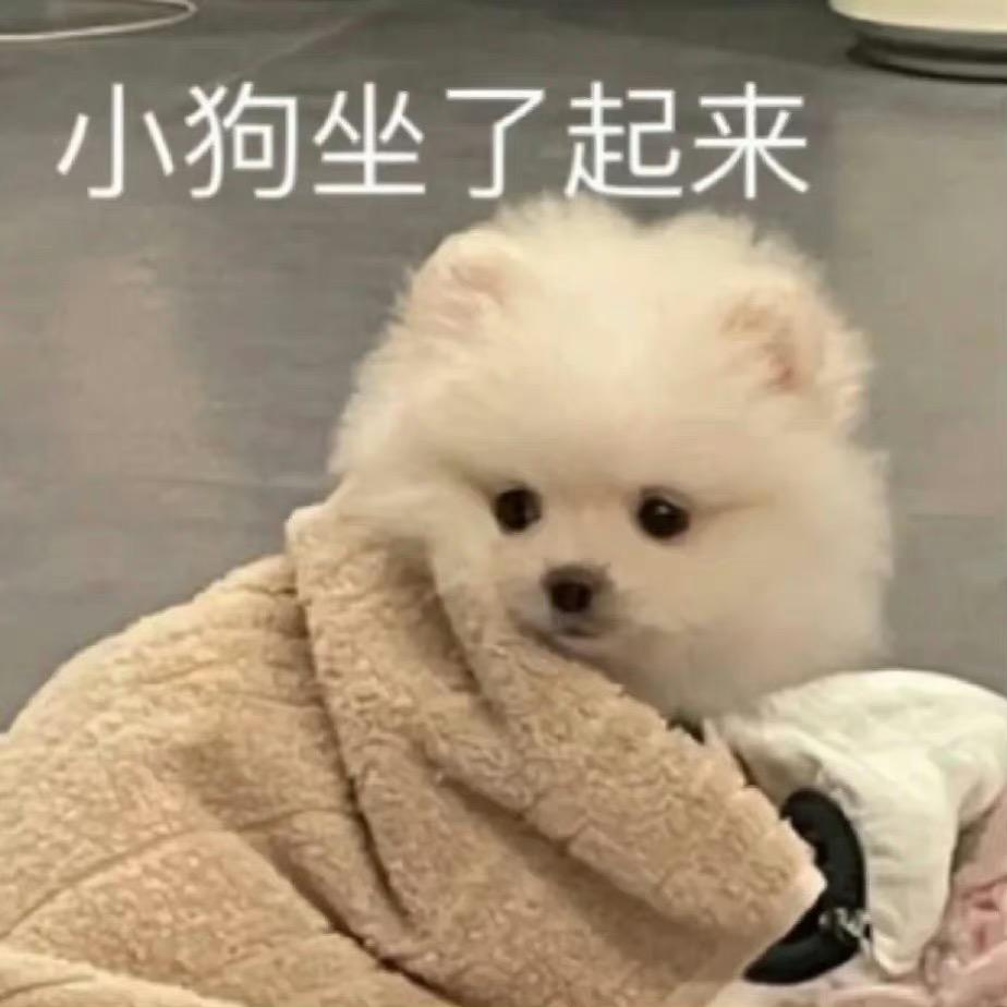 AAA土豆批发李姐