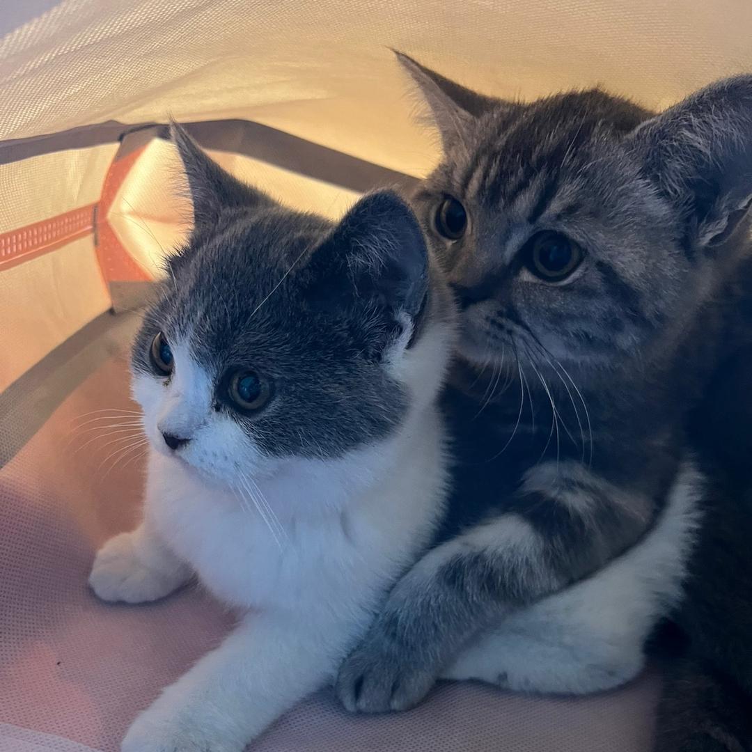 🌈八方来财🌈