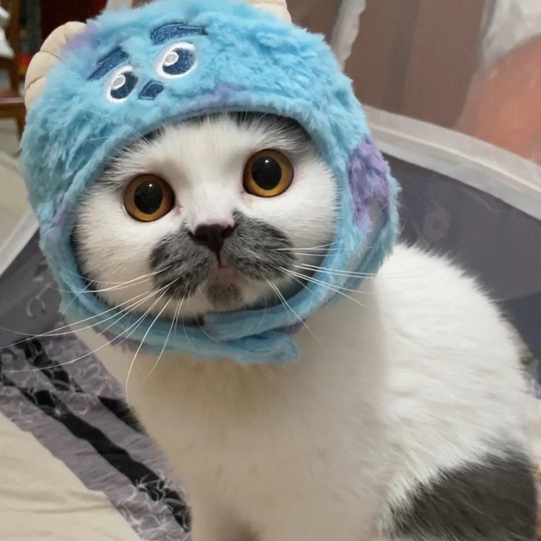 小韦同学👨‍🎓