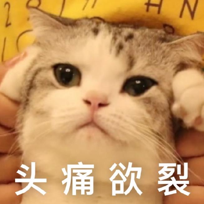 纯爱战神邓紫棋