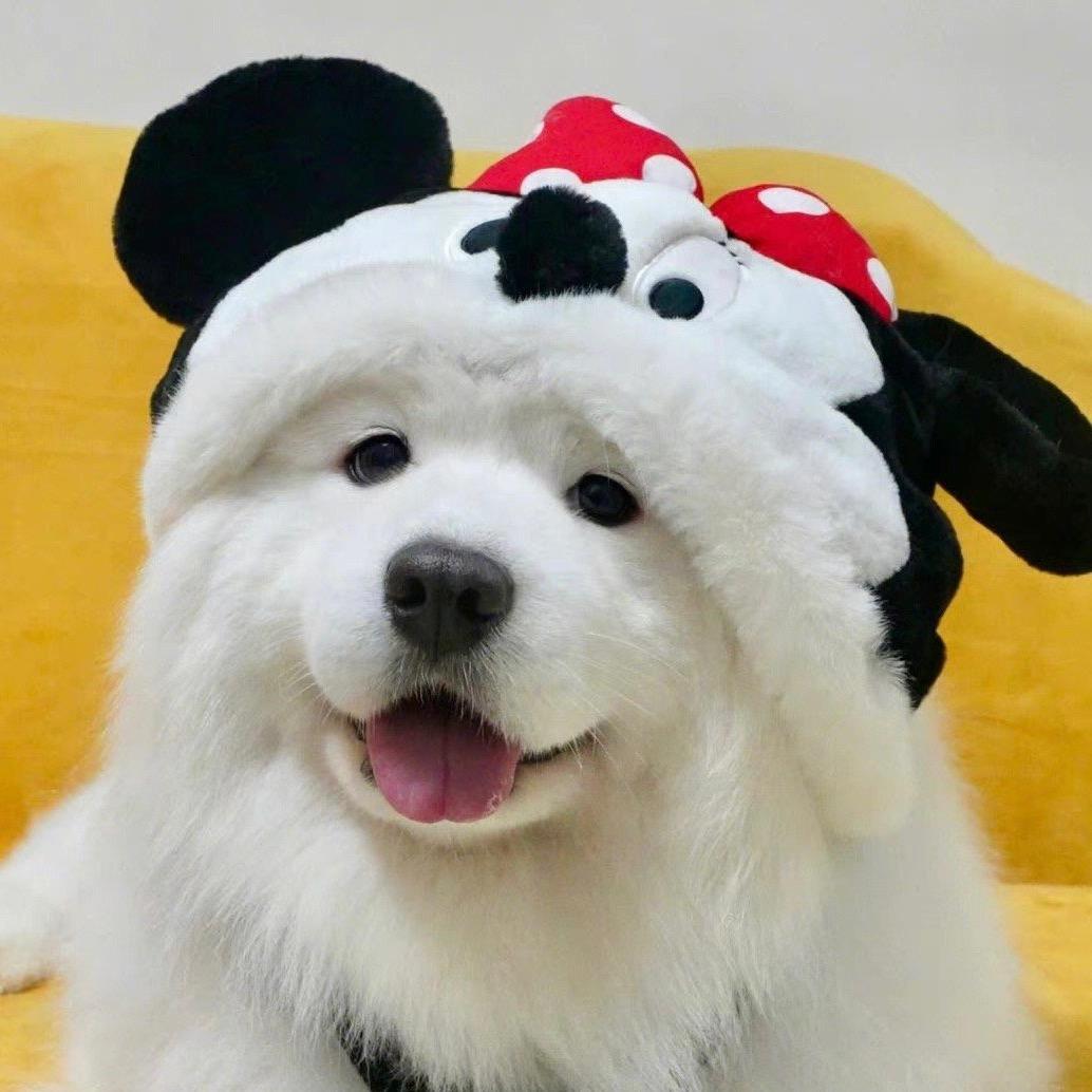 喜欢小狗