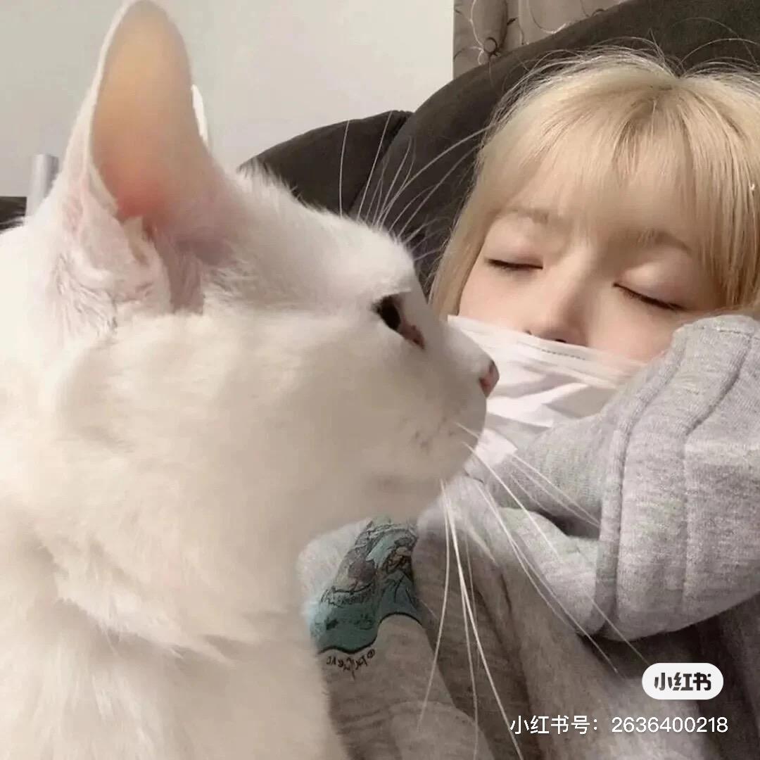 吐鲁番薯