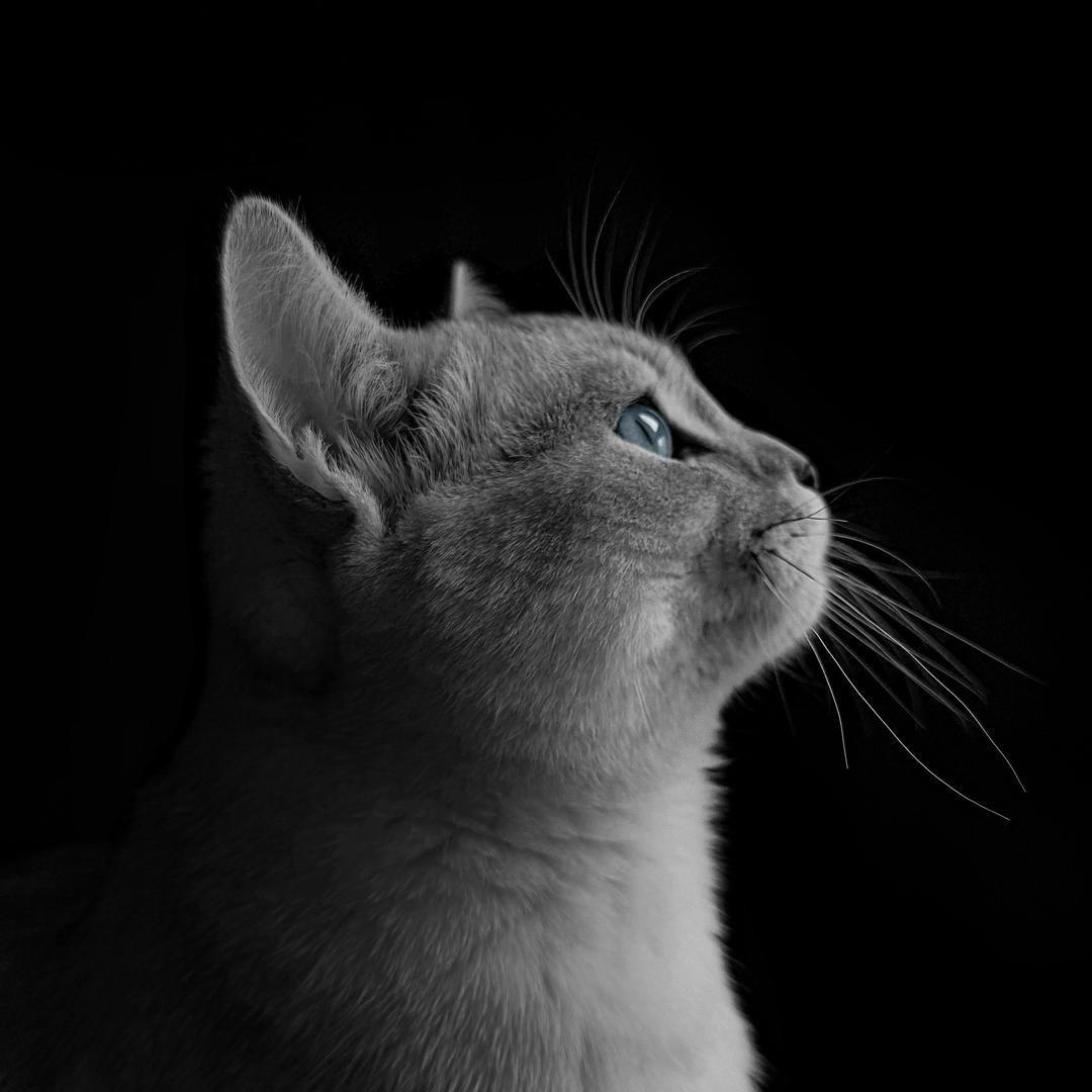 ps修图找云朵学