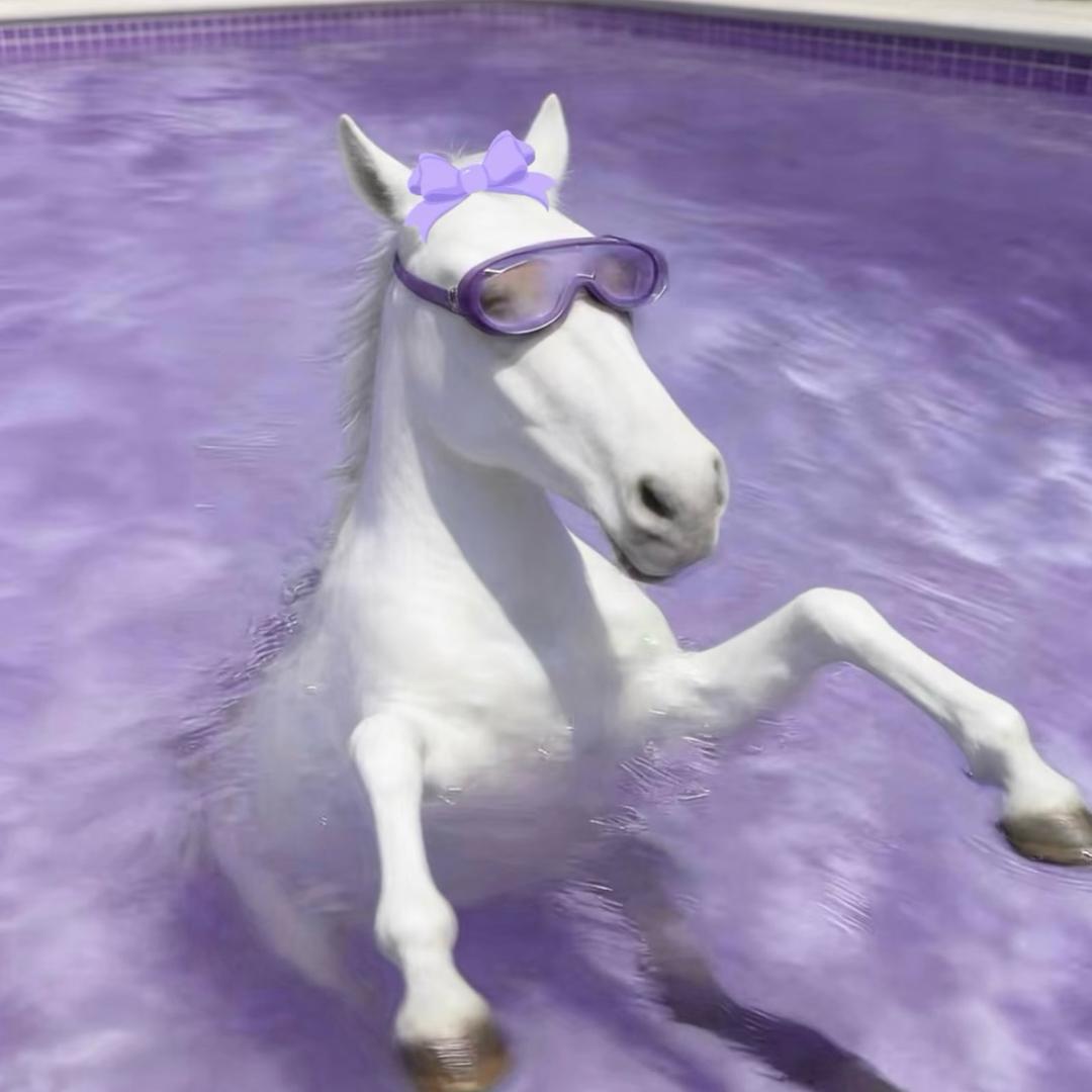 小Qi今天开心吗