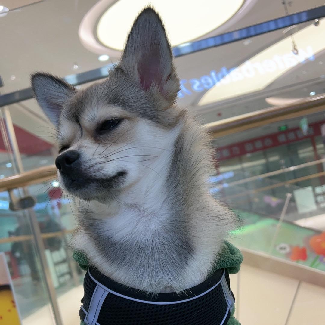 杰克·汪徳尔