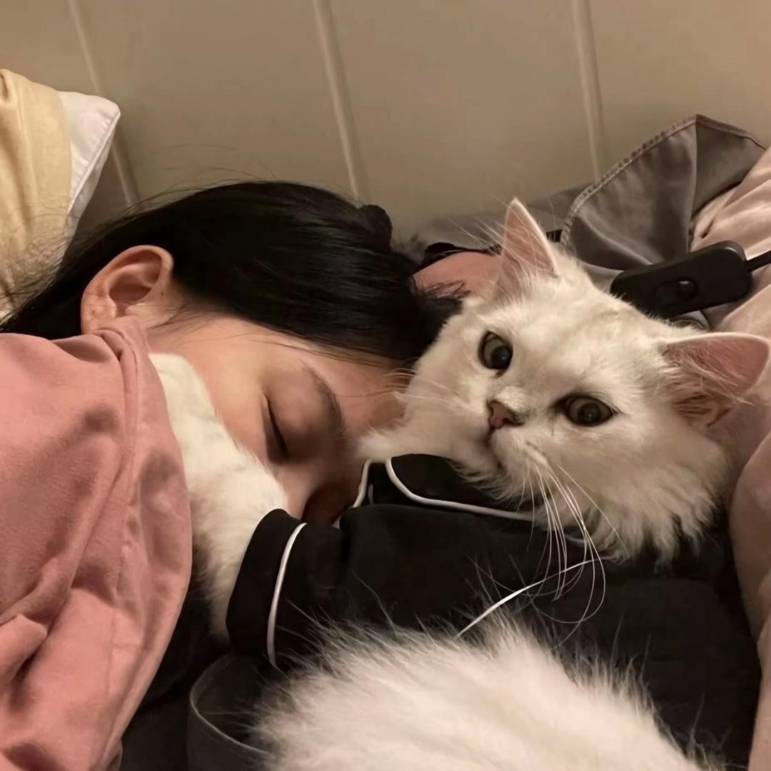 小安.