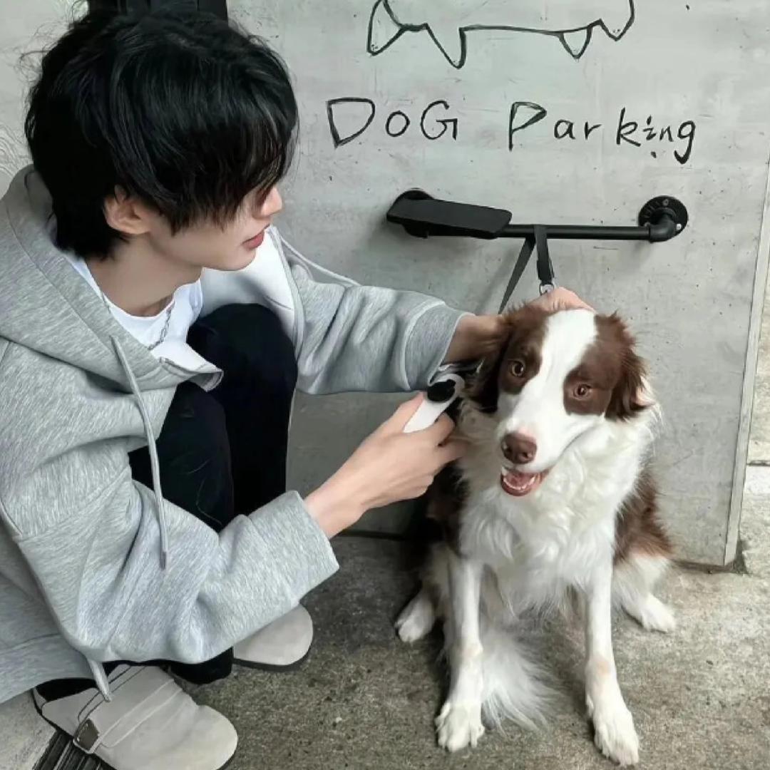 .我好困