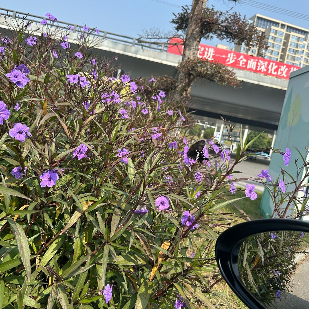 用户7651483379986