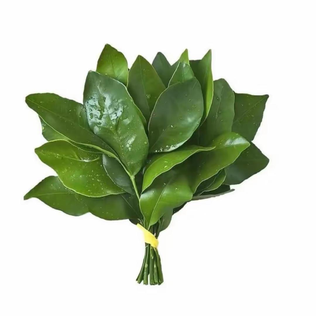宁宁幺