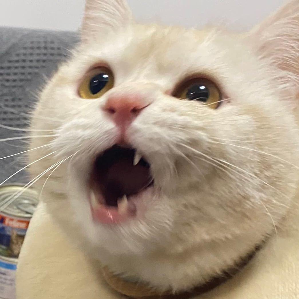 呀！小胖