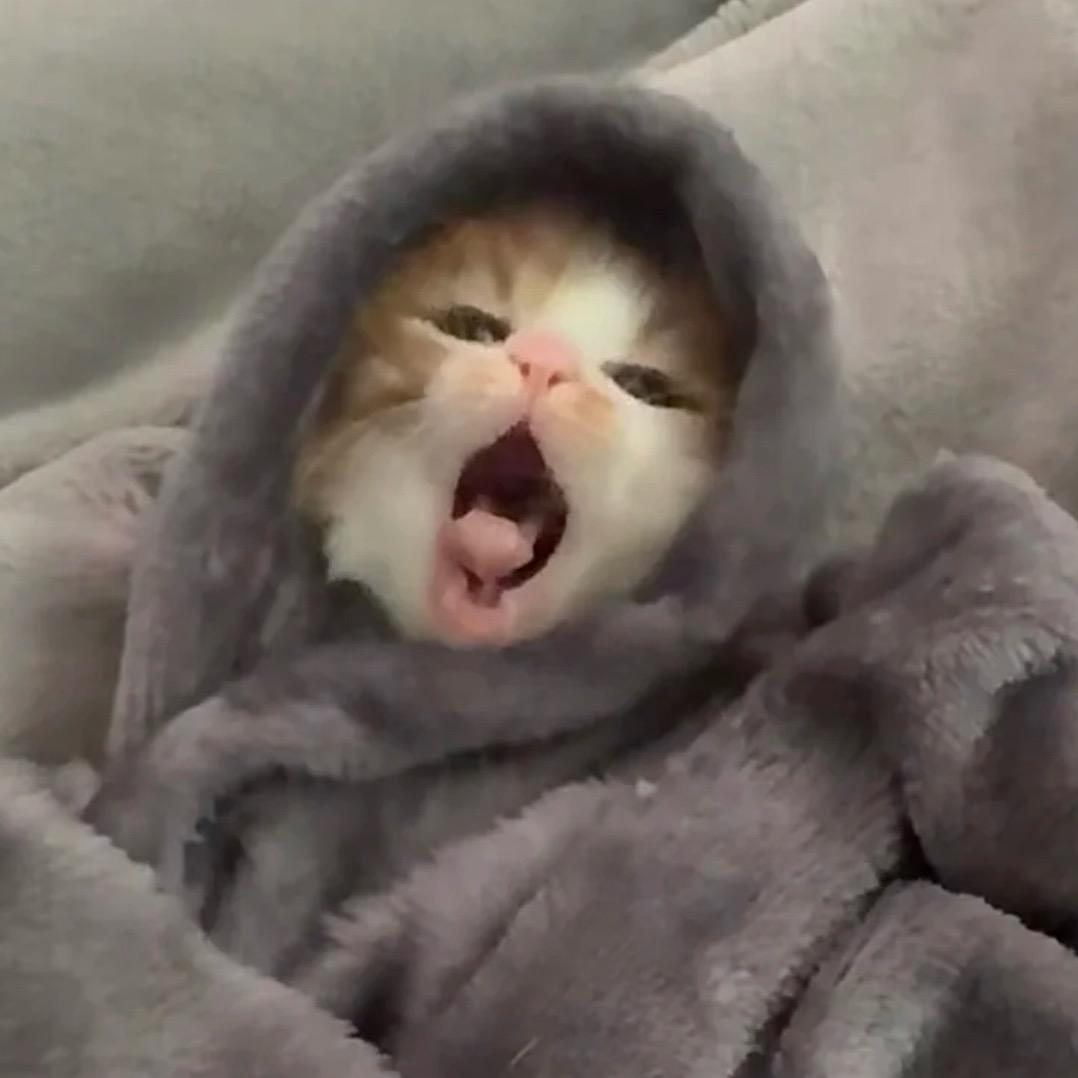 Kikiiiiii