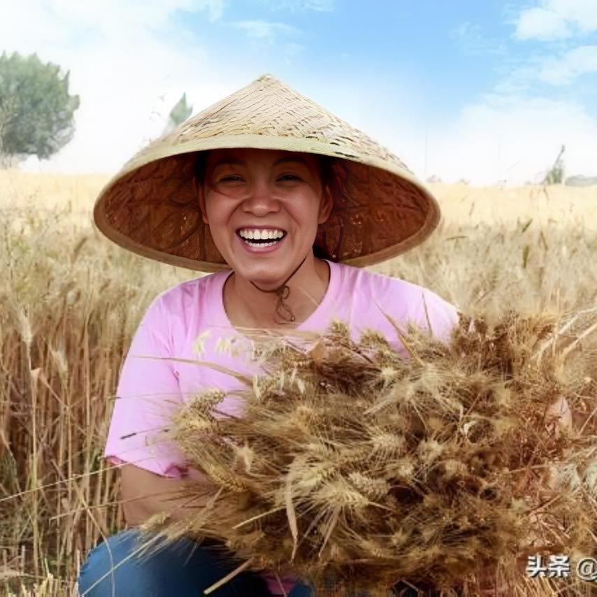 农资甄选 玲姐（商品在橱窗）