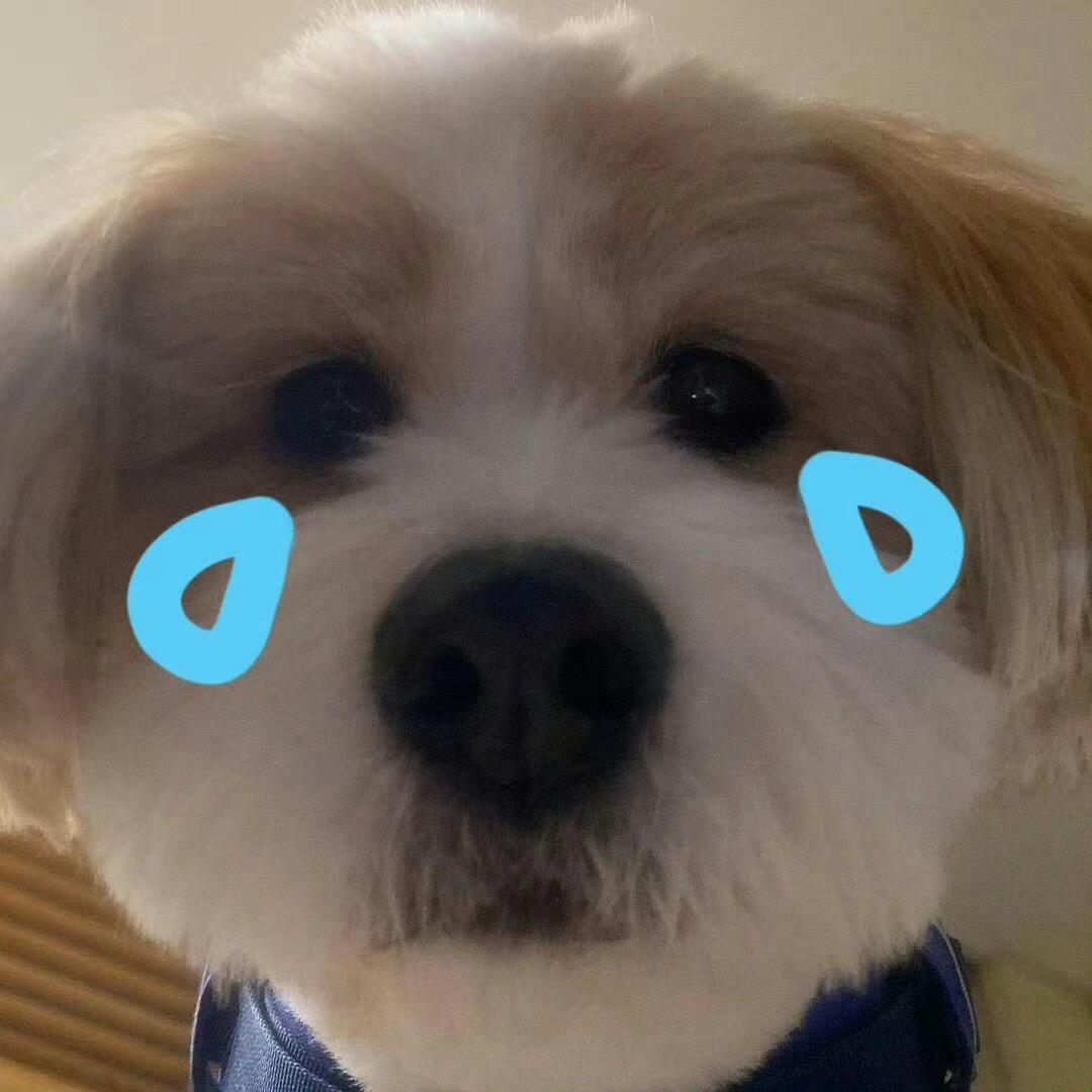 好好学习不准emo