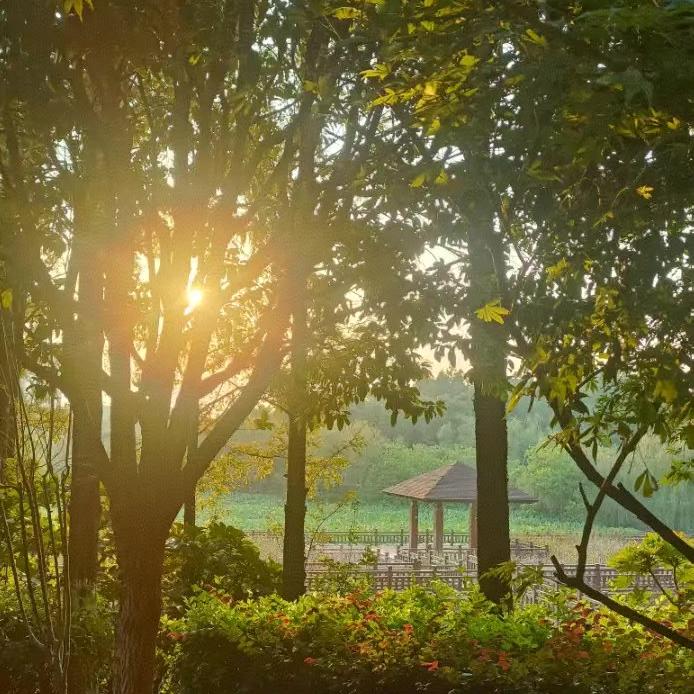 牛犇犇好物优选