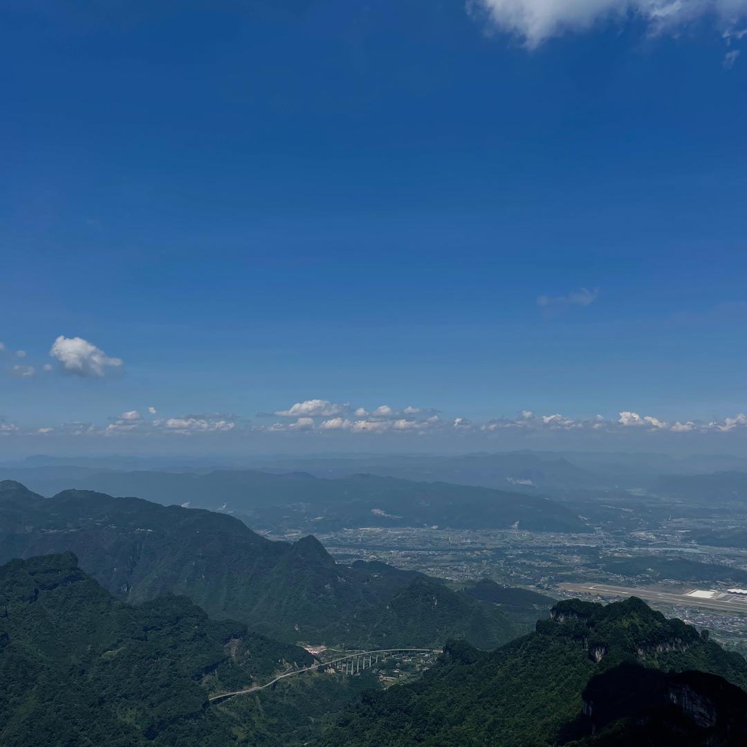 麋鹿