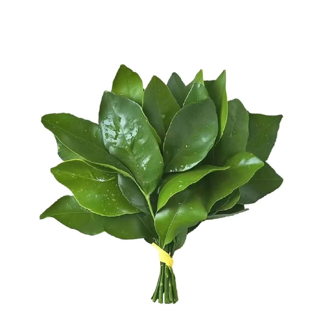 温婉柔