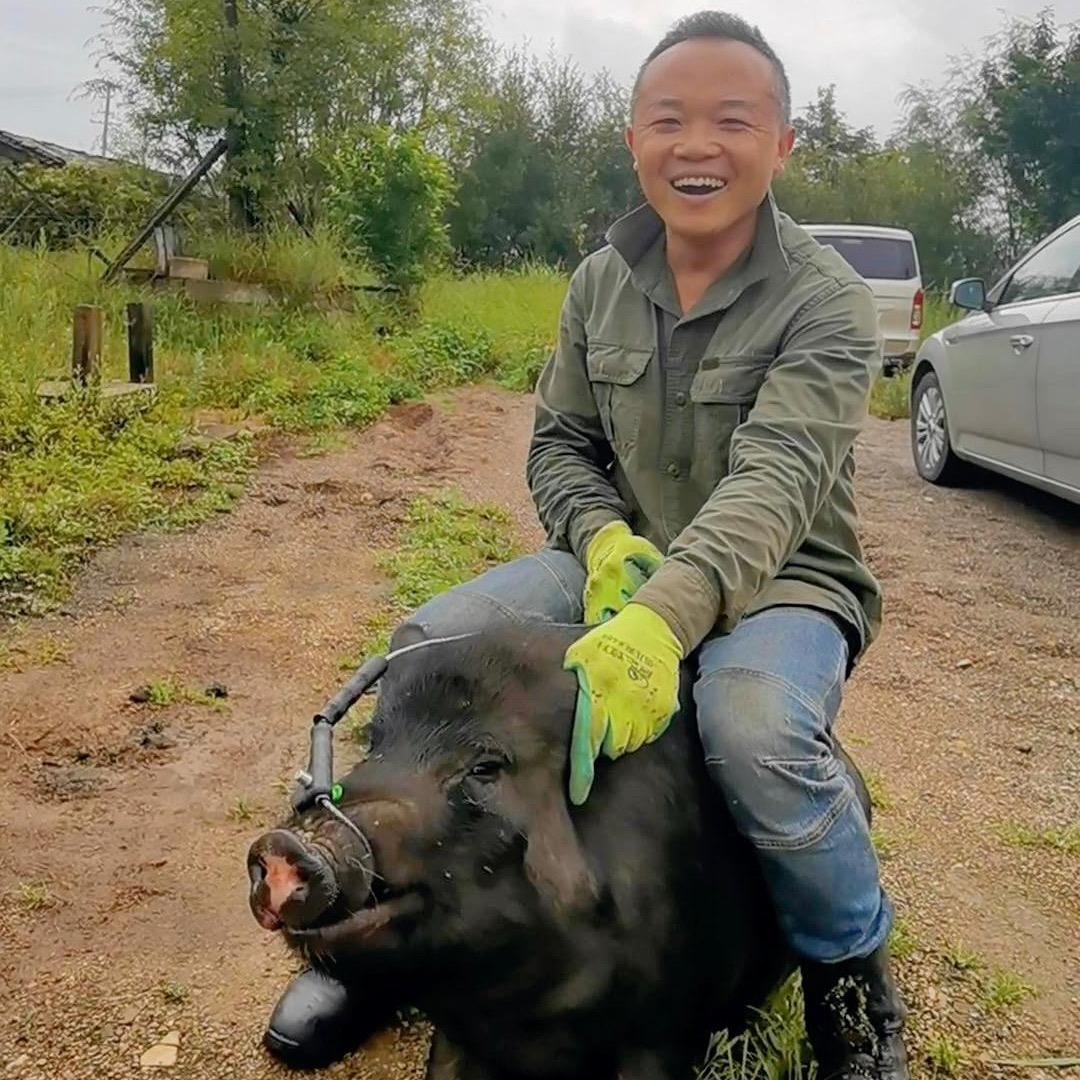 吉仁农场藏香猪产品馆