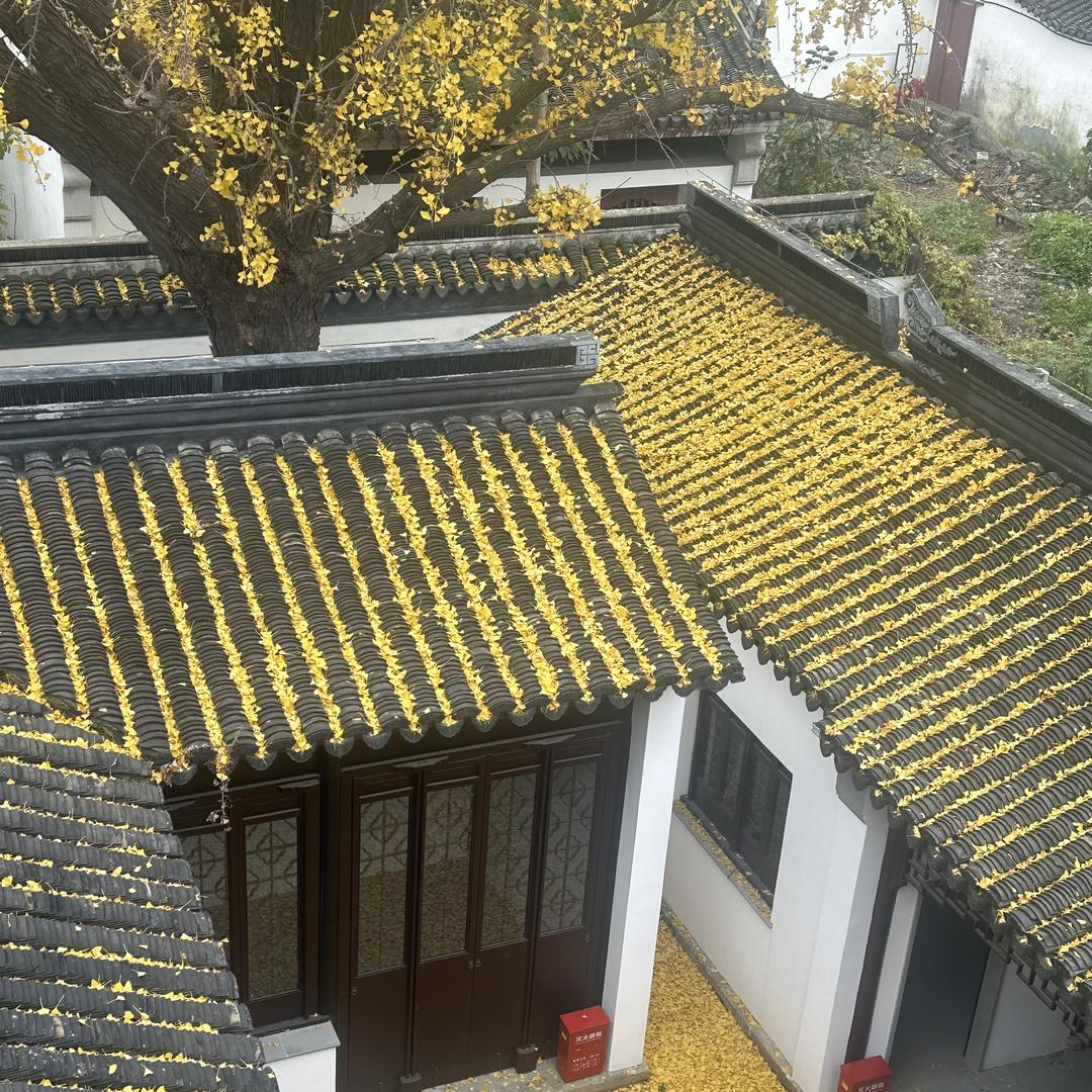 苏州敬文房产中介服务部