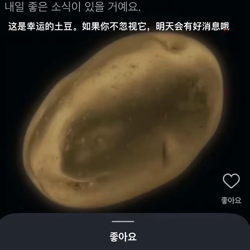 ➿圆圆弯弯月