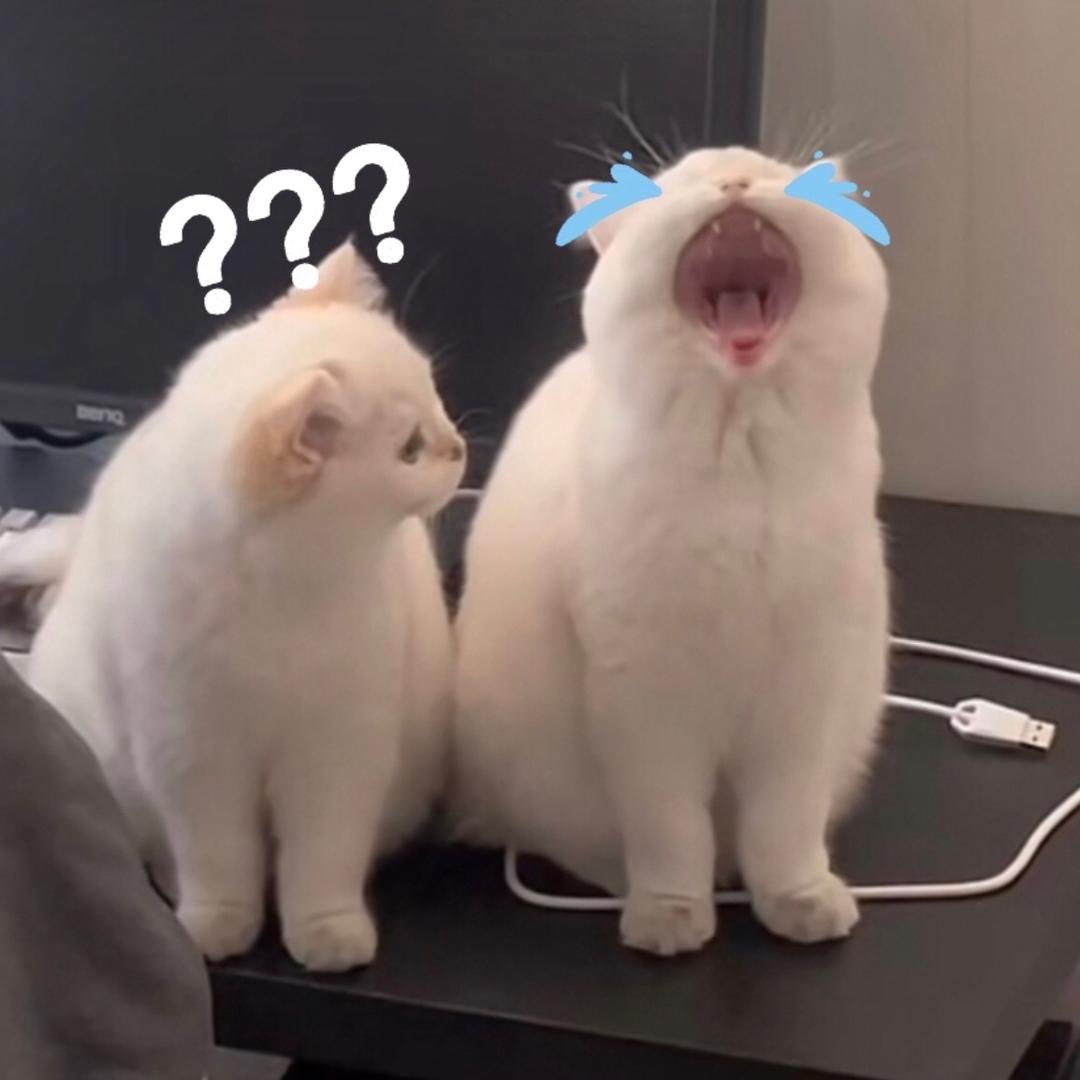 拜托！我才不是闻小十