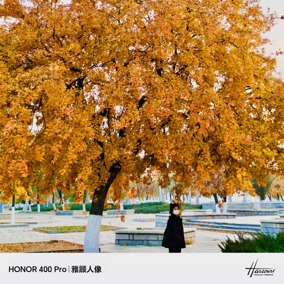 可乐🍂Lෆanೄ೨