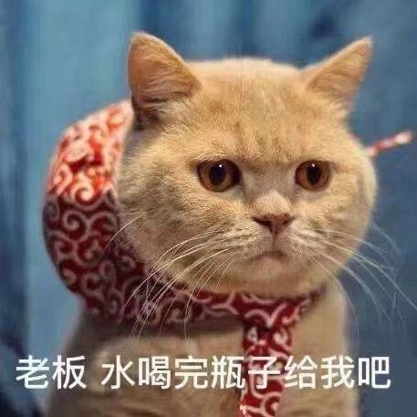收个水瓶儿
