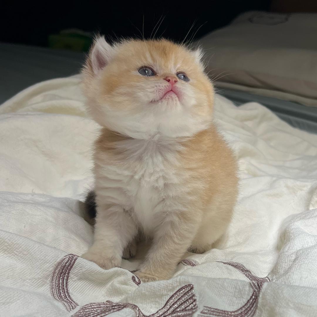 罐子的mer🐱