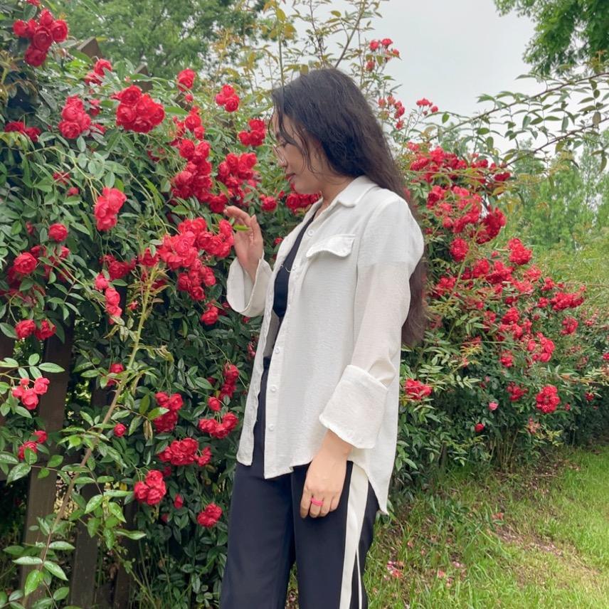 梨梨
