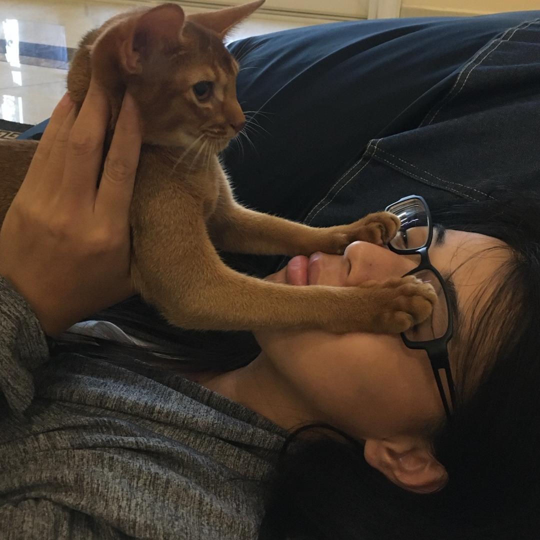 爱吃鱼、