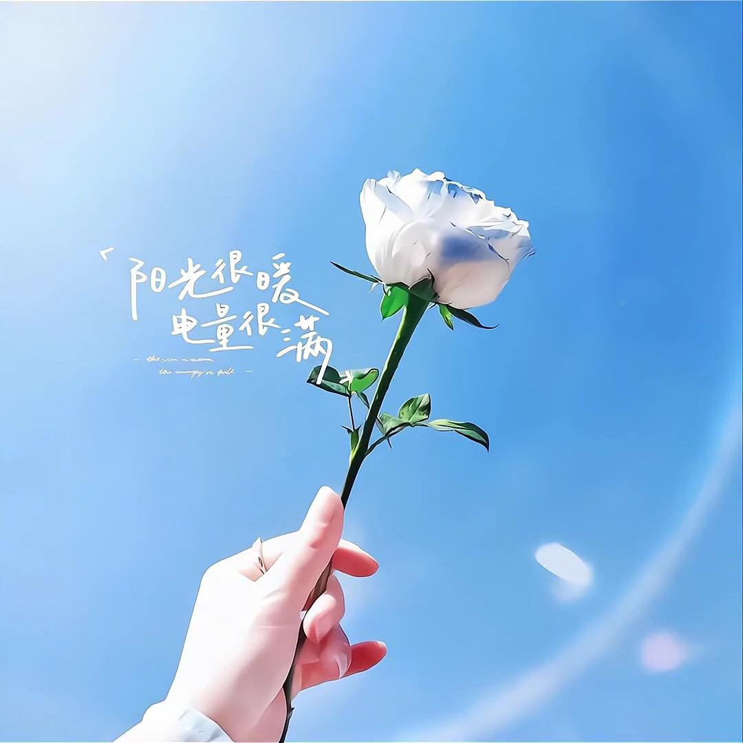 敏•宝