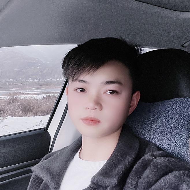 西北小唐进口车