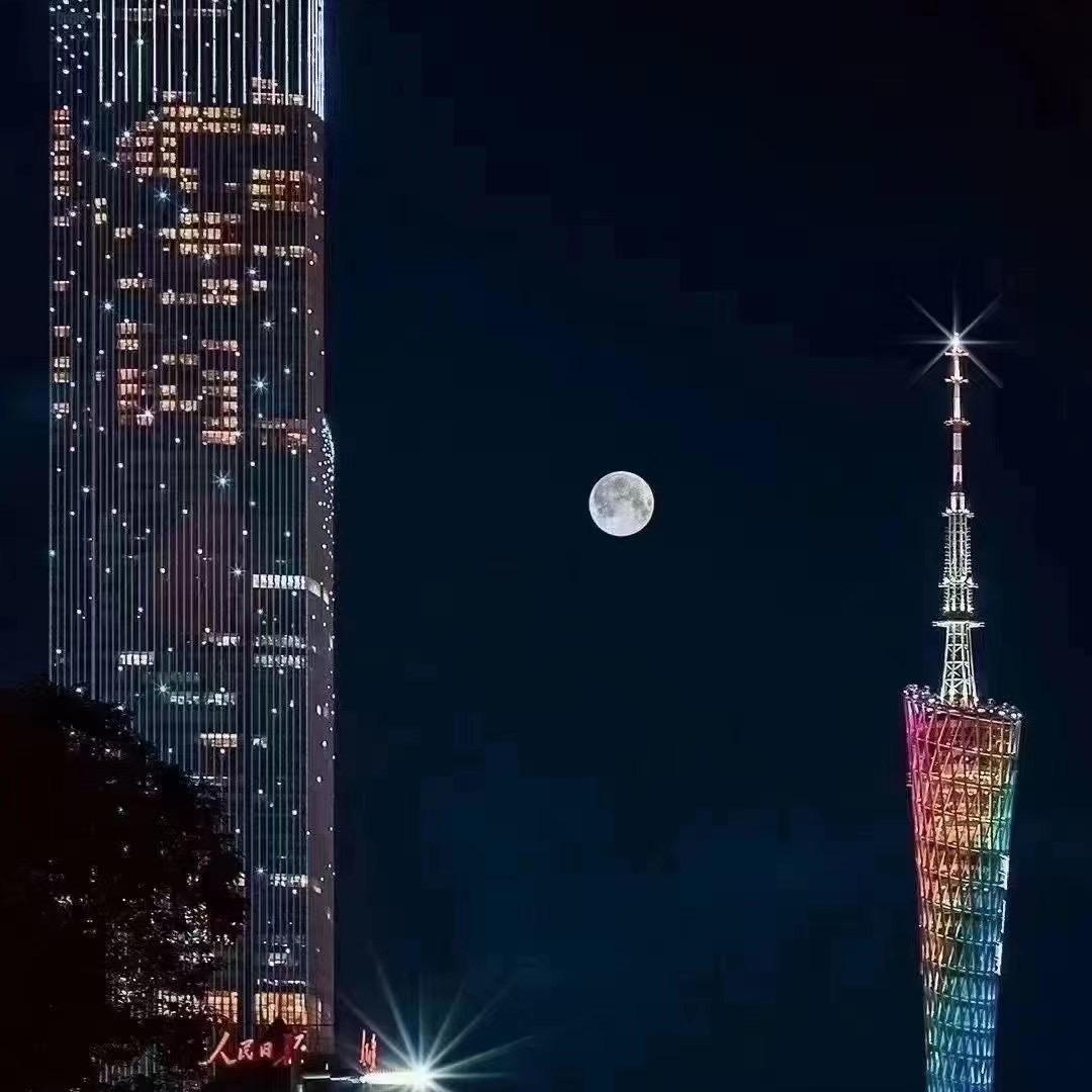 大卫刘