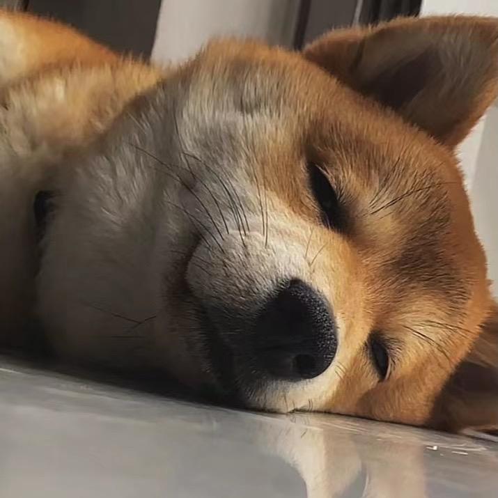 粘豆包～