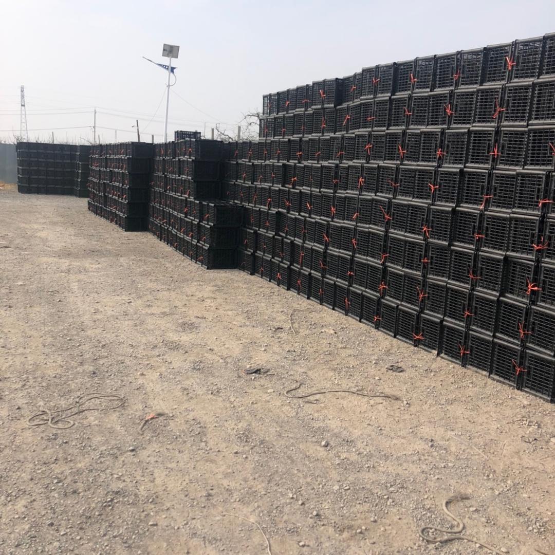 恒品塑业：主賜我福