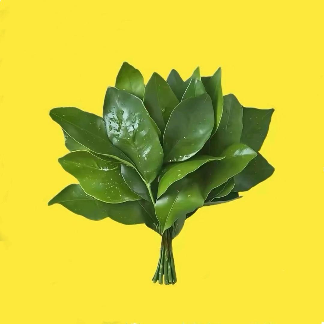 玫瑰姐姐