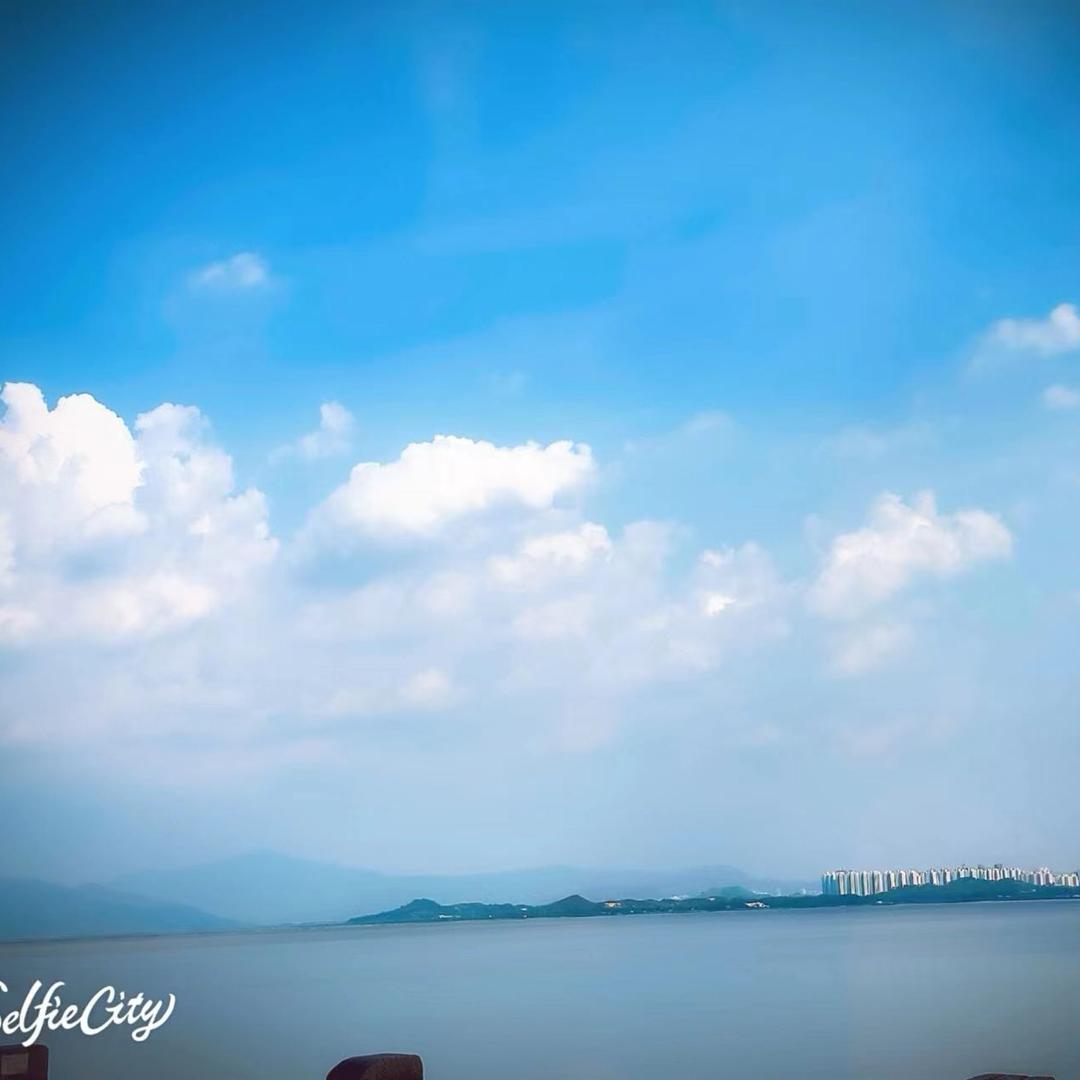 ꧁꫞꯭花落，人间再无你꫞꧂