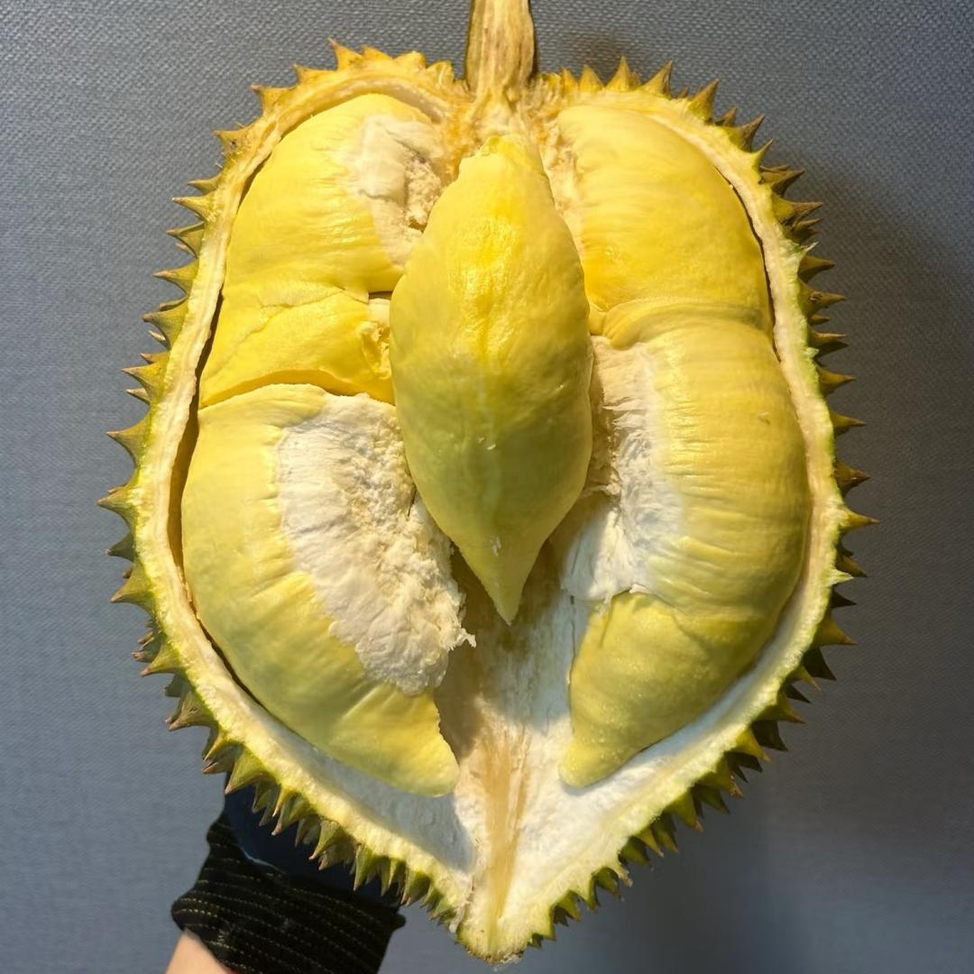 厂长·上榴莲！